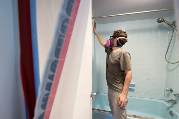 Trusted Lawrence, IN Mold Removal Experts