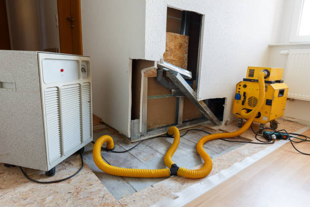 Best Mold Odor Removal Services  in Lawrence, IN