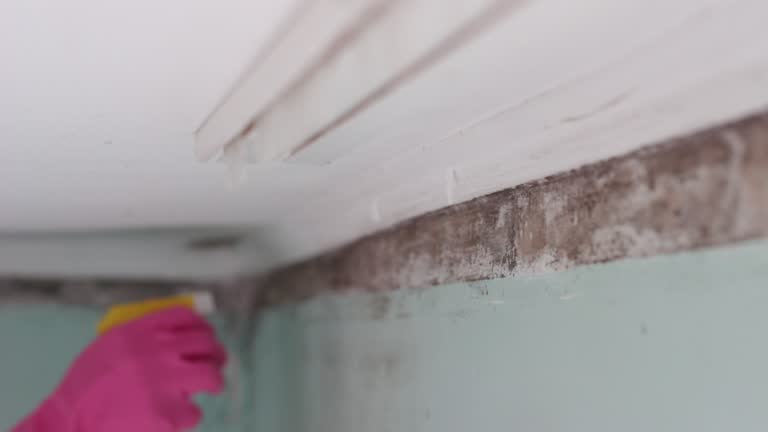 Best Dehumidification Services  in Lawrence, IN